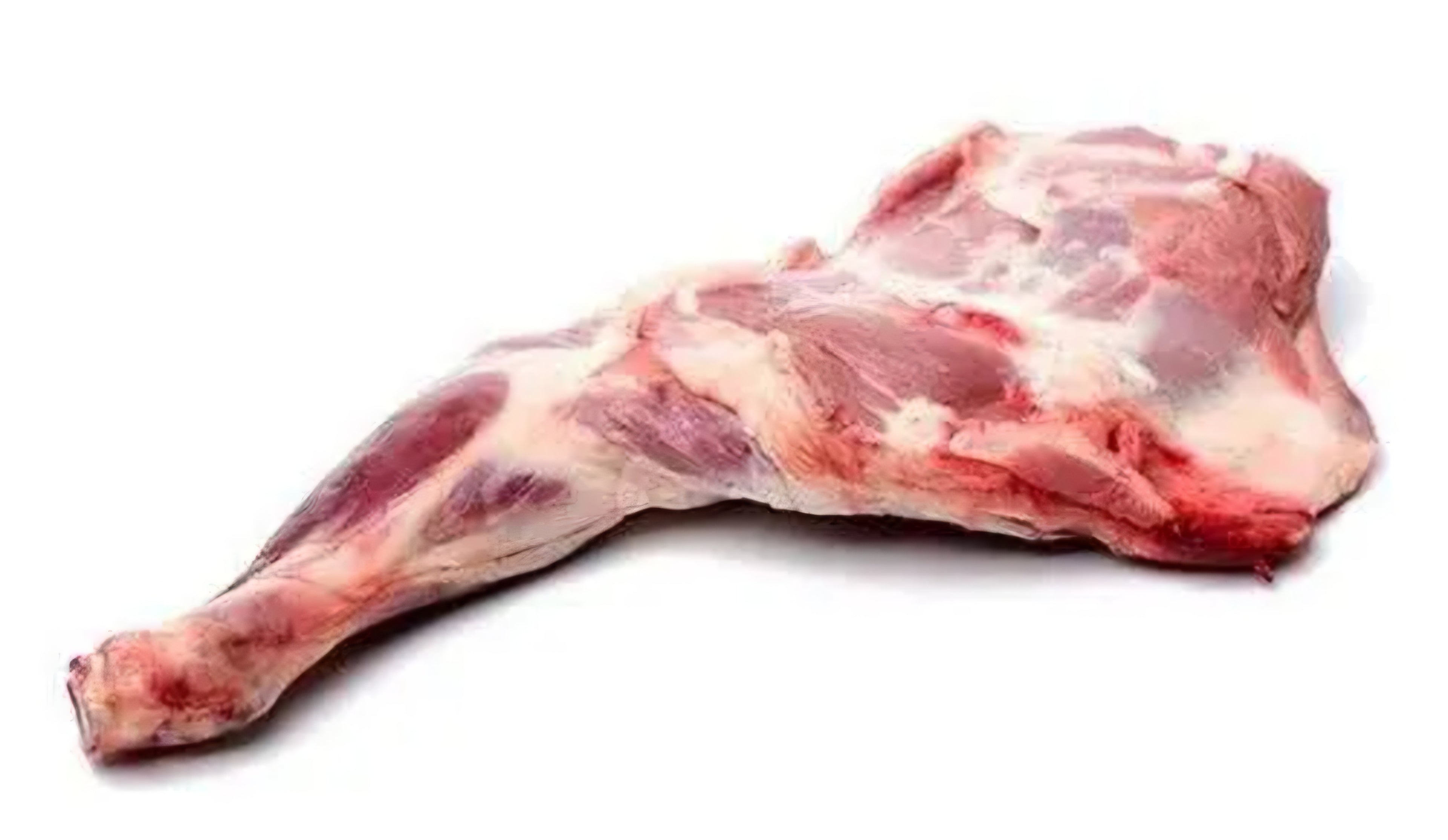 Lamb shoulder